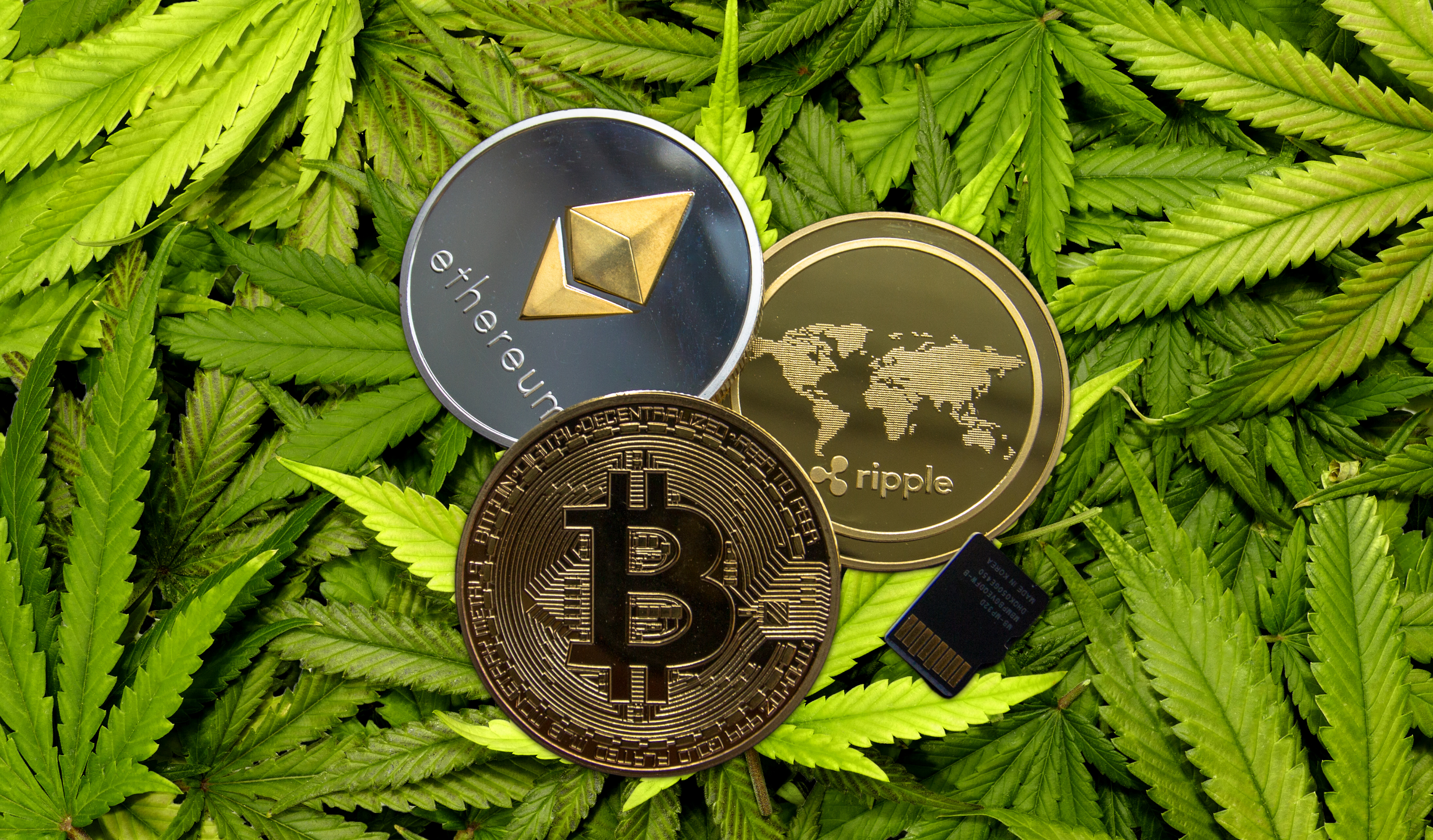 cannabis cryptocurrency price