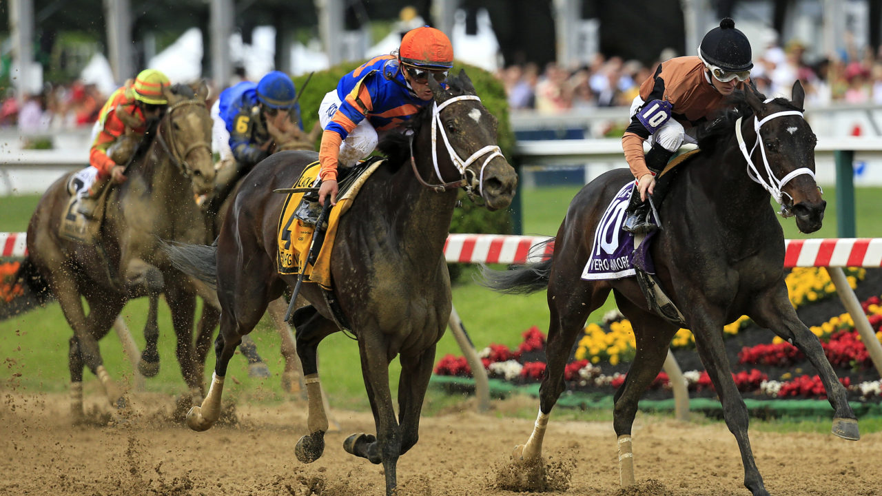 Blackeyed Susan Stakes Odds Preview Boardroom