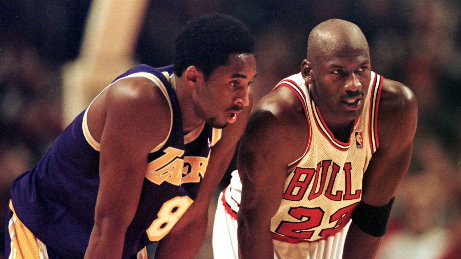 Kobe Bryant Authentic Purple Jerseys Comparison 