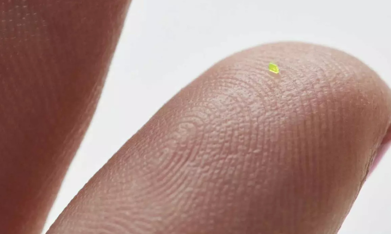 The world's smallest bag, tiny as a grain of salt, was sold for
